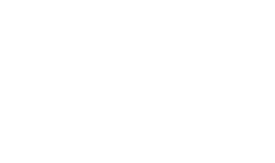 DustOff Shoes